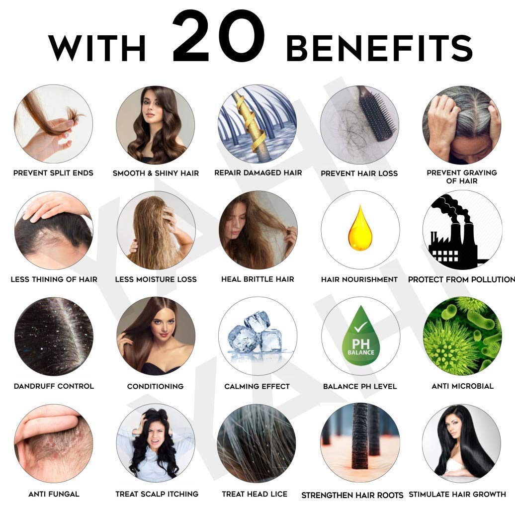 MAXBELLA® Apple Cider Vinegar Shampoo with Argan Oil - Anti Dandruff & Hair Loss Treatment for Men & Women - Paraben Free, Mineral Oil Free - 300ml - Perfect for Daily Hair Care & Scalp Health