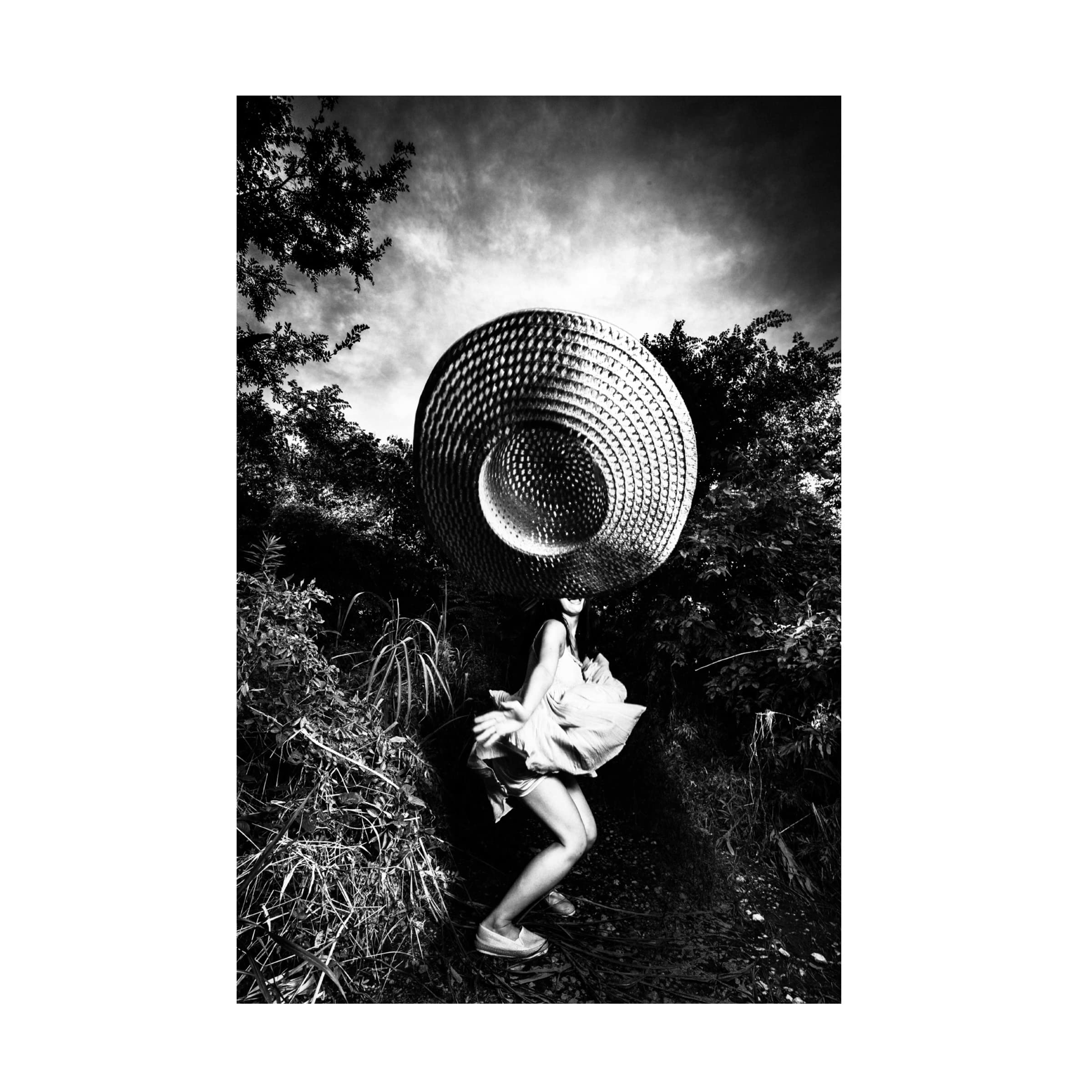 Trademark Fine Art 'Summer Portraits' Canvas Wall Art by Toru Matsunaga - Perfect for Living Room, Bedroom & Office Decor