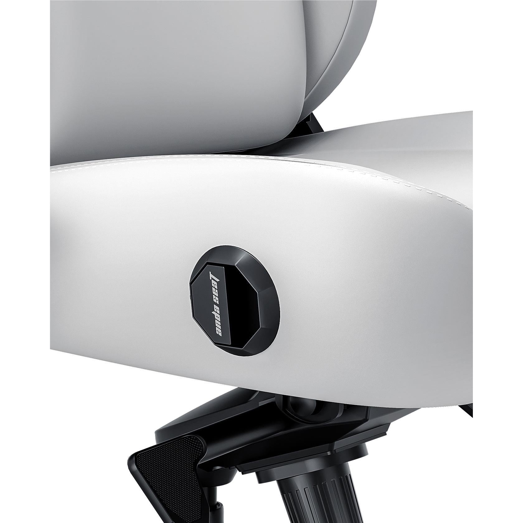 Anda Seat Kaiser 4 Series Premium Ergonomic Gaming Chair - Cloudy White (Large Size) for PC, PS5, Xbox Gaming & Office Work
