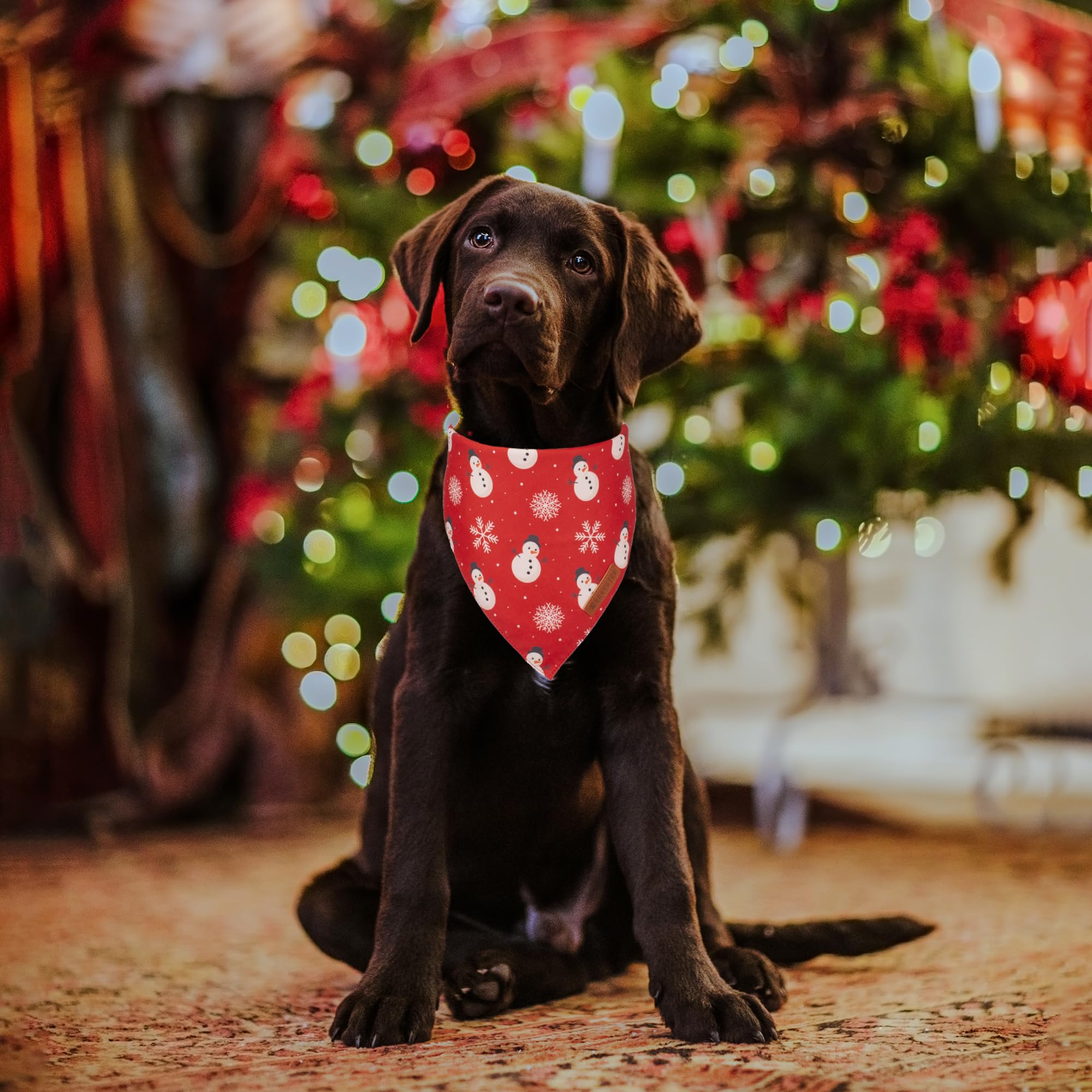 ADOGGYGO Christmas Dog Bandana - Snowman Xmas Pet Scarf for Medium & Large Dogs | Premium Durable Fabric Holiday Pet Accessory | Perfect for Christmas Photos, Parties & Festive Gatherings