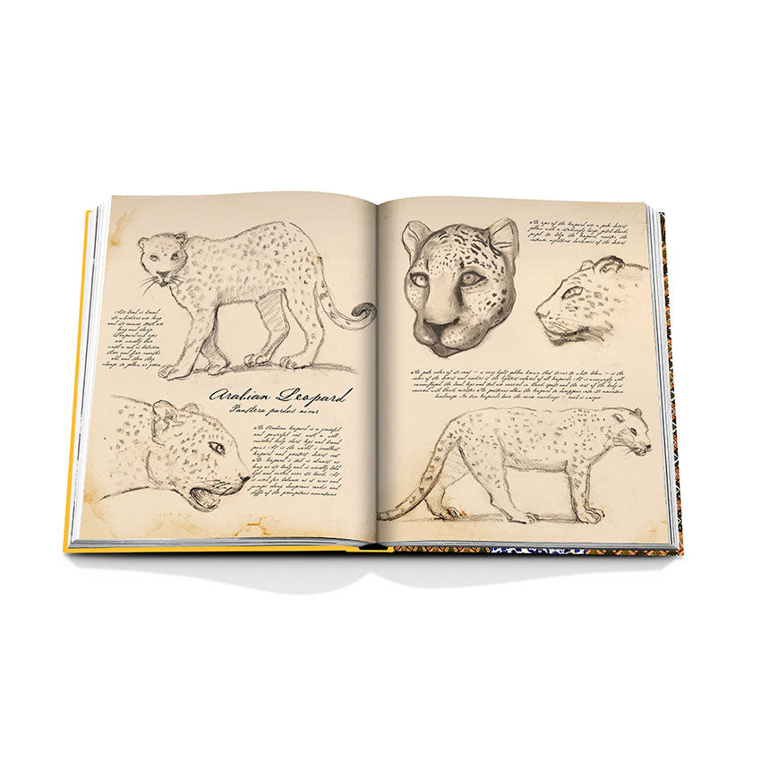 Assouline Arabian Leopard Coffee Table Book - Luxury Wildlife Photography & Conservation Stories - Perfect for Home Decor, Coffee Table Display, and Gift Giving