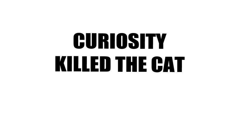 Curiosity Killed The CAT Vinyl Decal Sticker - Waterproof Car, Laptop, Wall Decor - Perfect for Vehicles, Electronics & Home Decoration