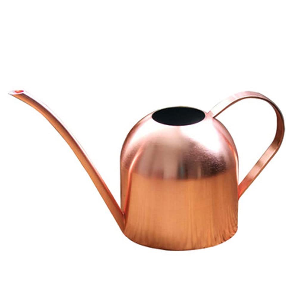 Stainless Steel Long Spout Watering Can for Garden, Flowers & Plants - Durable Outdoor Watering Kettle with Ergonomic Handle - Perfect for Indoor & Outdoor Gardening, Lawn Care, and Houseplant Maintenance (One Size, Color A)