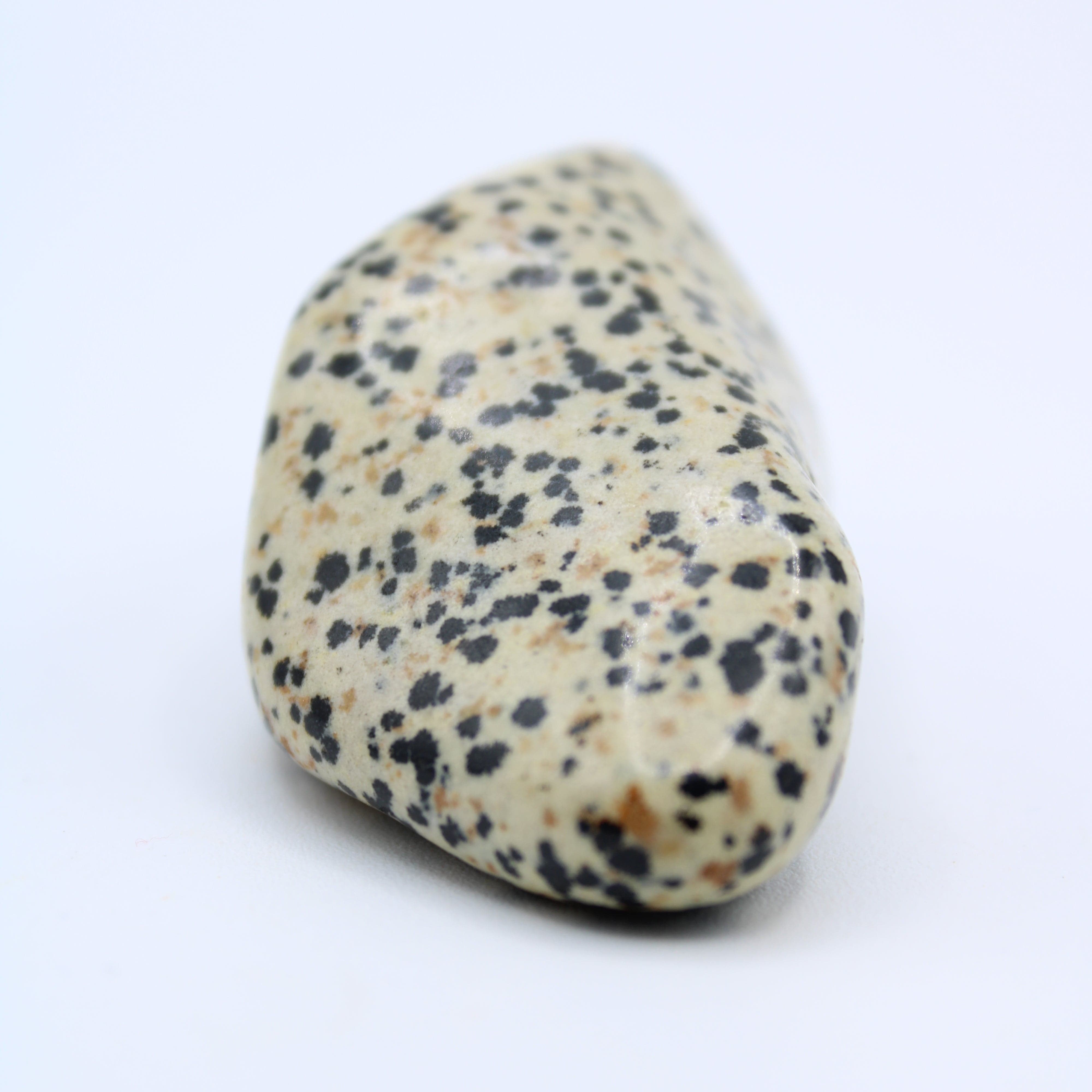 Natural Dalmatian Jasper Free Form Stone - Healing Crystal for Meditation, Home Decor & Spiritual Gifts | Perfect for Yoga, Reiki & Energy Work