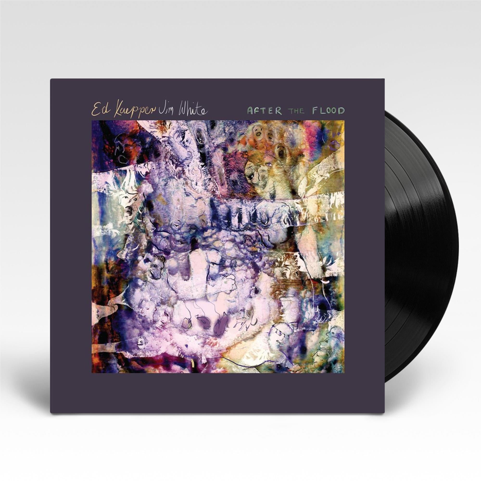 After The Flood Vinyl Record - Limited Edition LP for Music Collectors & Audiophiles - Perfect for Home Listening & Vinyl Enthusiast Collections