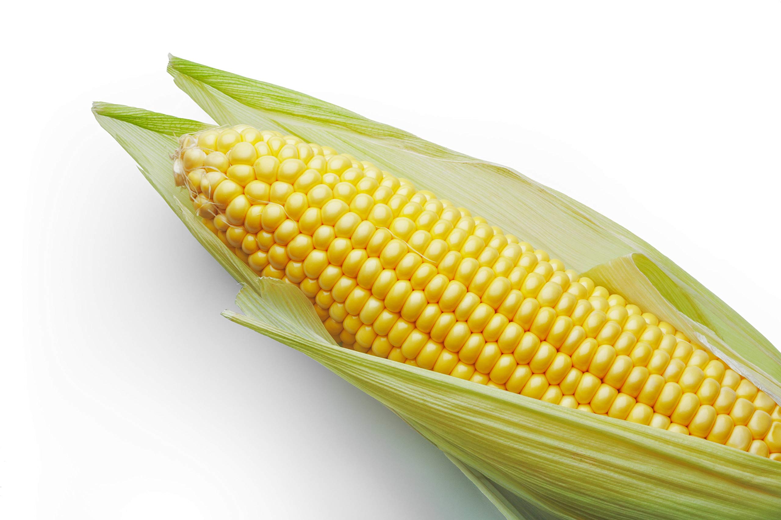 Sweet Incredible Yellow Corn Heirloom Seeds - 75 Non-GMO Seeds with 90% Germination Rate for Home Garden Planting | Perfect for Fresh Eating, Canning & Farm-to-Table Recipes by Isla's Garden Seeds