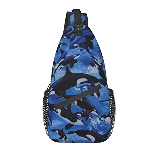 Killer Whales Orcas Ocean Sea Animals
