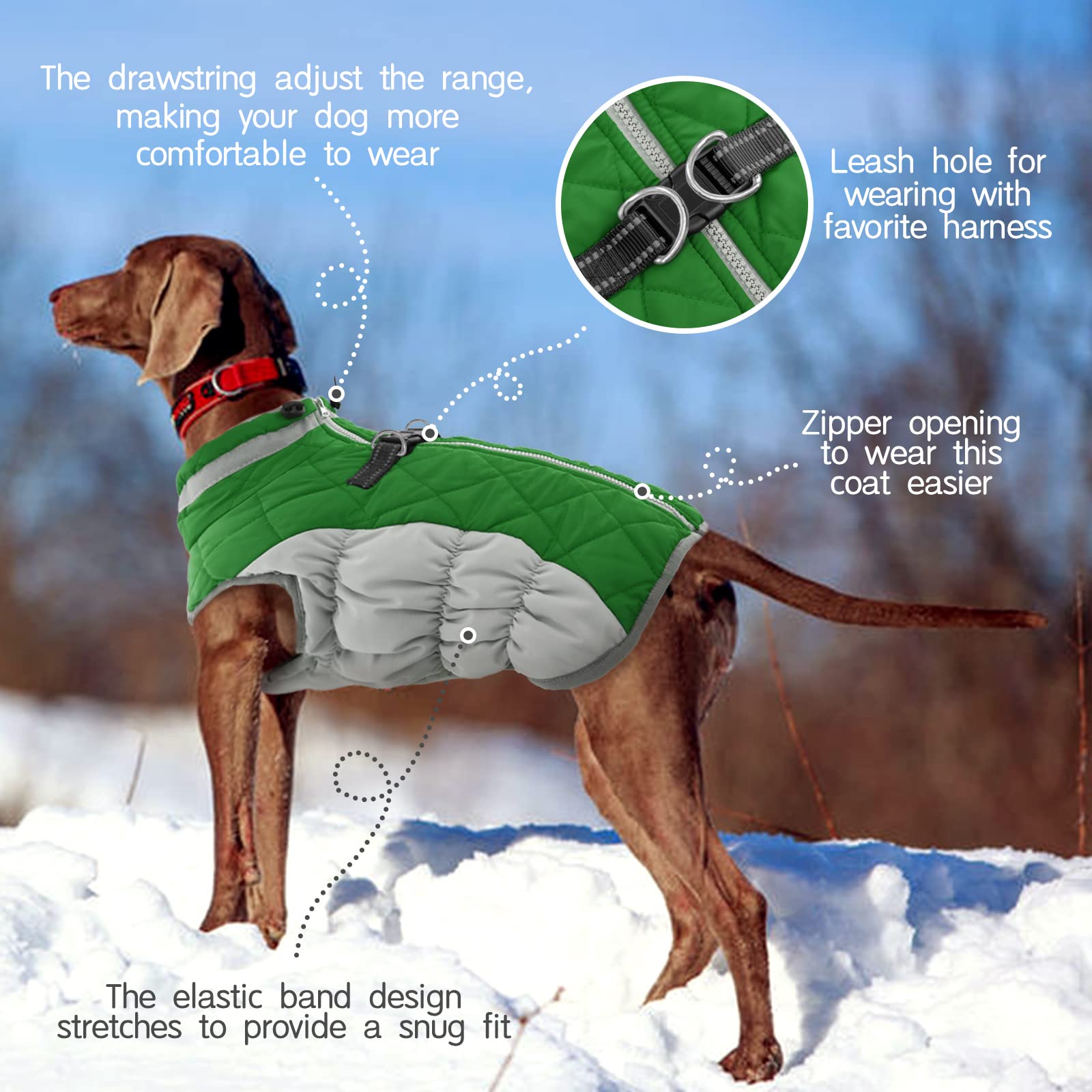 FUAMEY Waterproof Windproof Dog Winter Coat - Warm Fleece Vest with Reflective Strips & Built-in Harness | Cold Weather Snow Jacket for Large Dogs (Green, XL) | Perfect for Outdoor Walks, Hiking & Winter Adventures