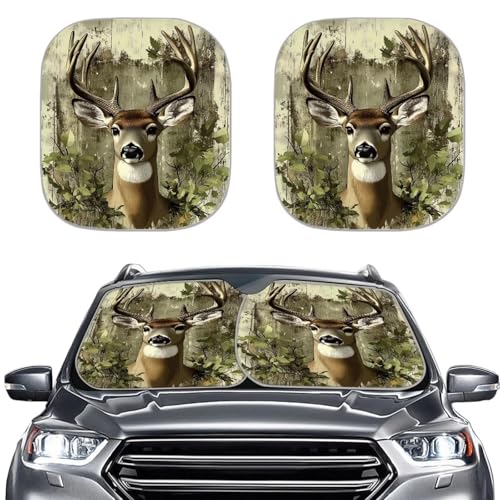 Forest Deer