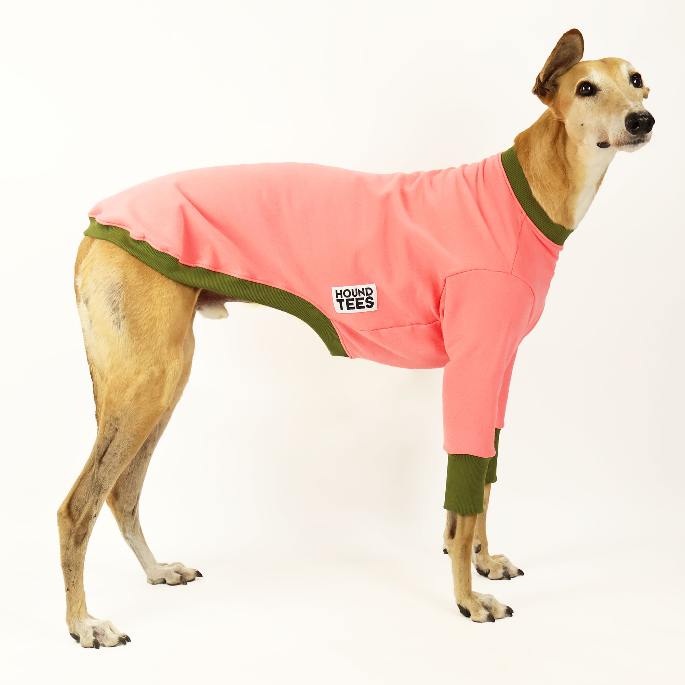 Derp Greyhound Sweater - Cozy Knit Dog Sweater for Greyhounds | Winter Warmth & Stylish Pet Fashion | Perfect for Cold Weather Walks & Indoor Lounging
