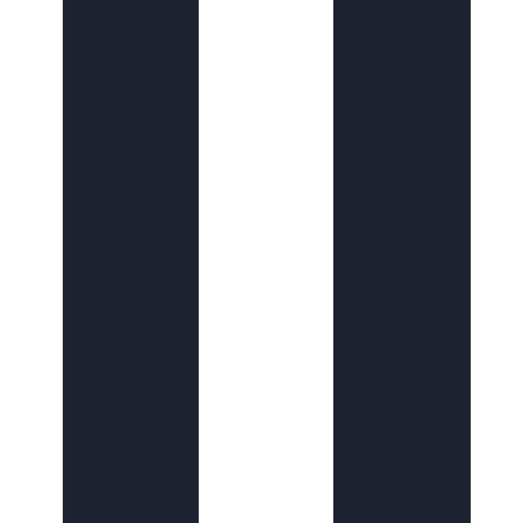 A.navy