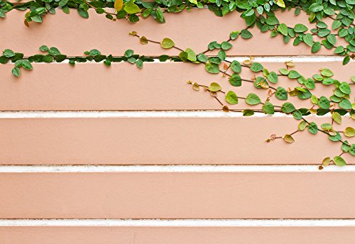 Green Vines Gorwing