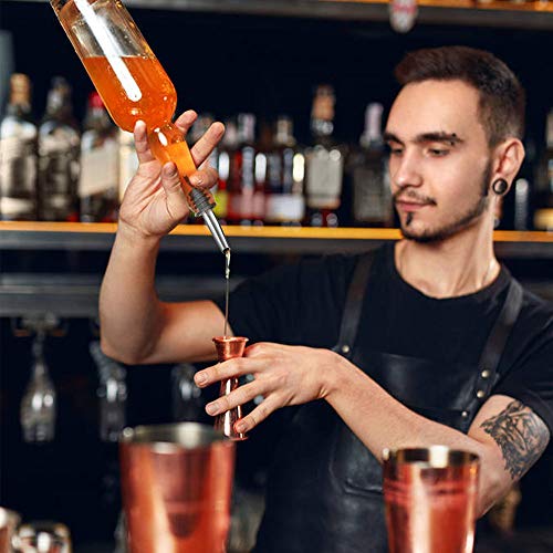 6PCS Stainless Steel Liquor Pourers - BALTRE Speed Pourer Spouts with Rubber Dust Caps for Whiskey, Vodka & Vinegar Bottles | Bar Accessories for Home & Professional Use