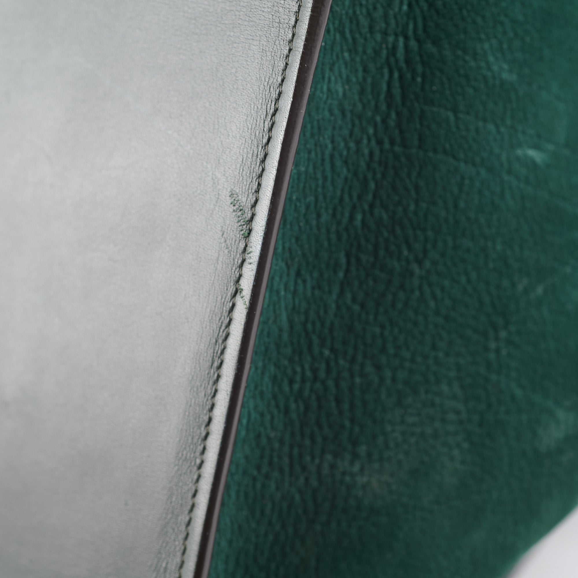 Celine Mini Luggage Bag in Green | Genuine Leather Crossbody Handbag for Women | Perfect for Travel, Work & Everyday Use