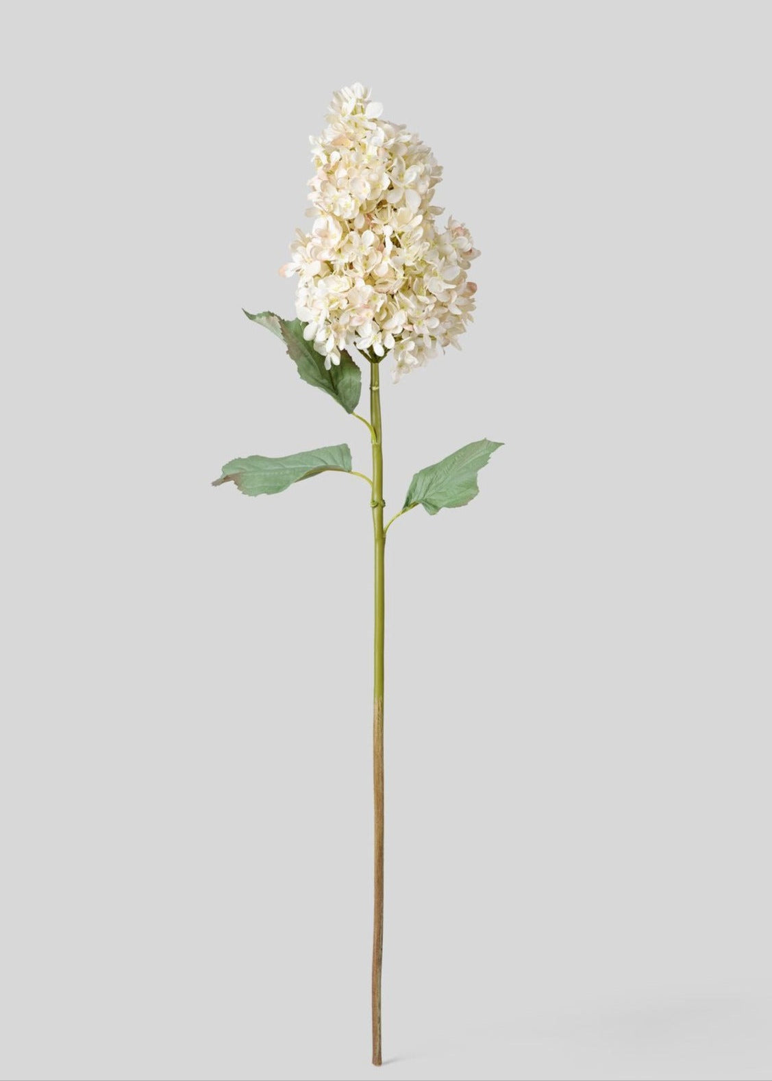 Premium Large Deluxe Artificial Dried Hydrangea Cone in Parchment - Perfect for Wedding Centerpieces, Home Decor, and Floral Arrangements
