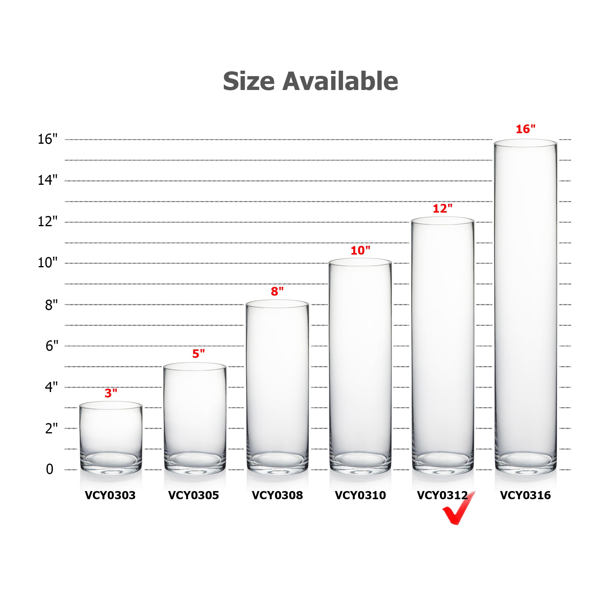 Premium Clear Cylinder Glass Vases - 3