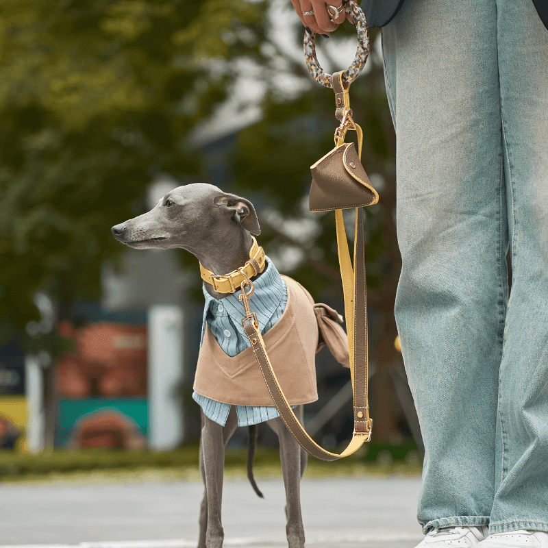 Premium Rosy Leather Dog Leash - Durable & Stylish for Small to Large Dogs - Perfect for Walking, Training & Outdoor Adventures