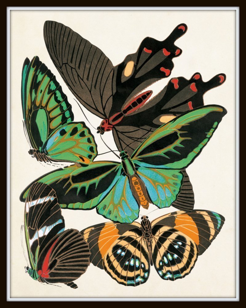 Art Nouveau Butterfly Print Set No.1 - 12 Giclee Seguy Butterfly Wall Art Prints (Unframed) - Perfect for Home Decor, Office Wall Art & Gift Giving
