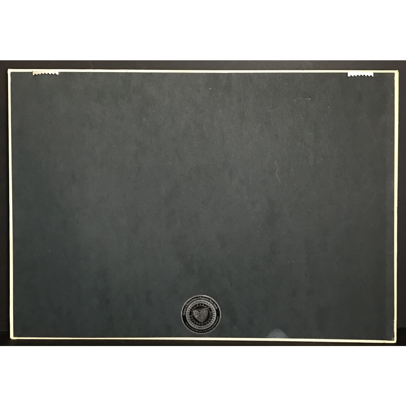 Garth Brooks Special 100M Multi Platinum RIAA Award - Rare Collectible Music Memorabilia for Country Fans & Display