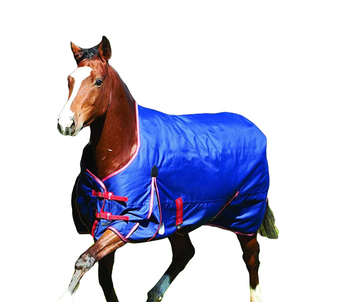 WeatherBeeta Original 1200D High Neck Medium Horse Blanket - Waterproof Turnout Rug for Cold Weather Riding & Stable Use