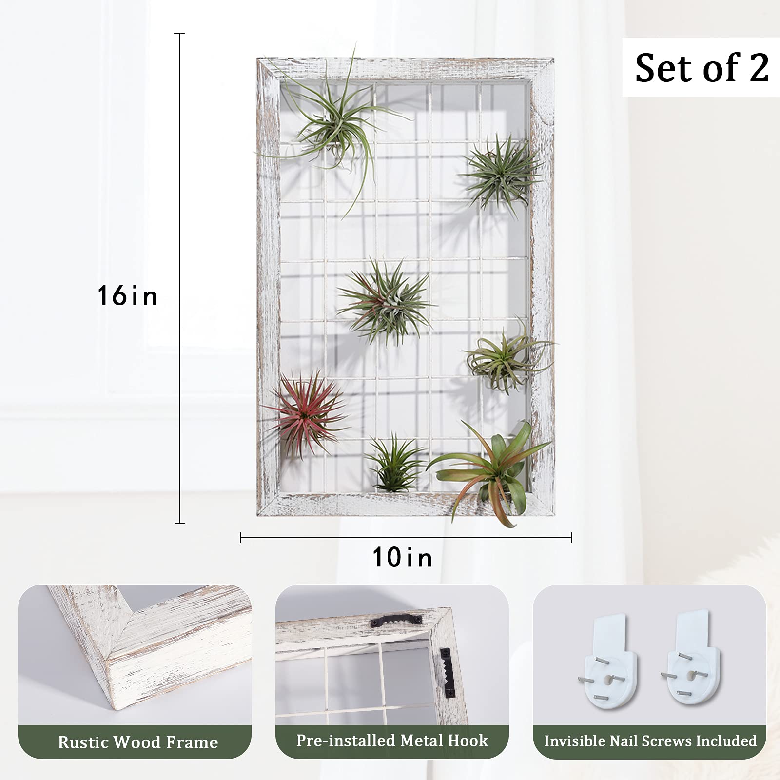 2 Pack Rustic Wood Air Plant Holders - Wall Mounted Hanger Stands for Tillandsia, Home Office & Farmhouse Decor | Perfect for Indoor Greenery, Boho & Minimalist Style