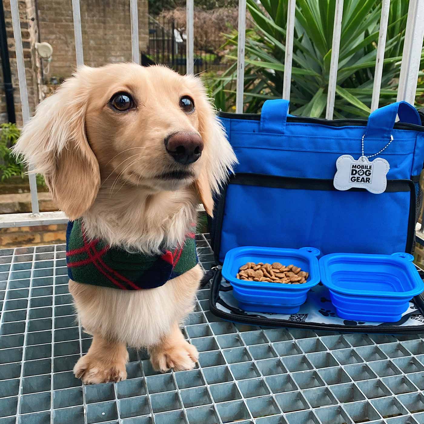 Blue Mobile Dog Gear Week Away Bag - Durable Pet Travel Carrier for Dogs, Perfect for Weekend Trips & Outdoor Adventures