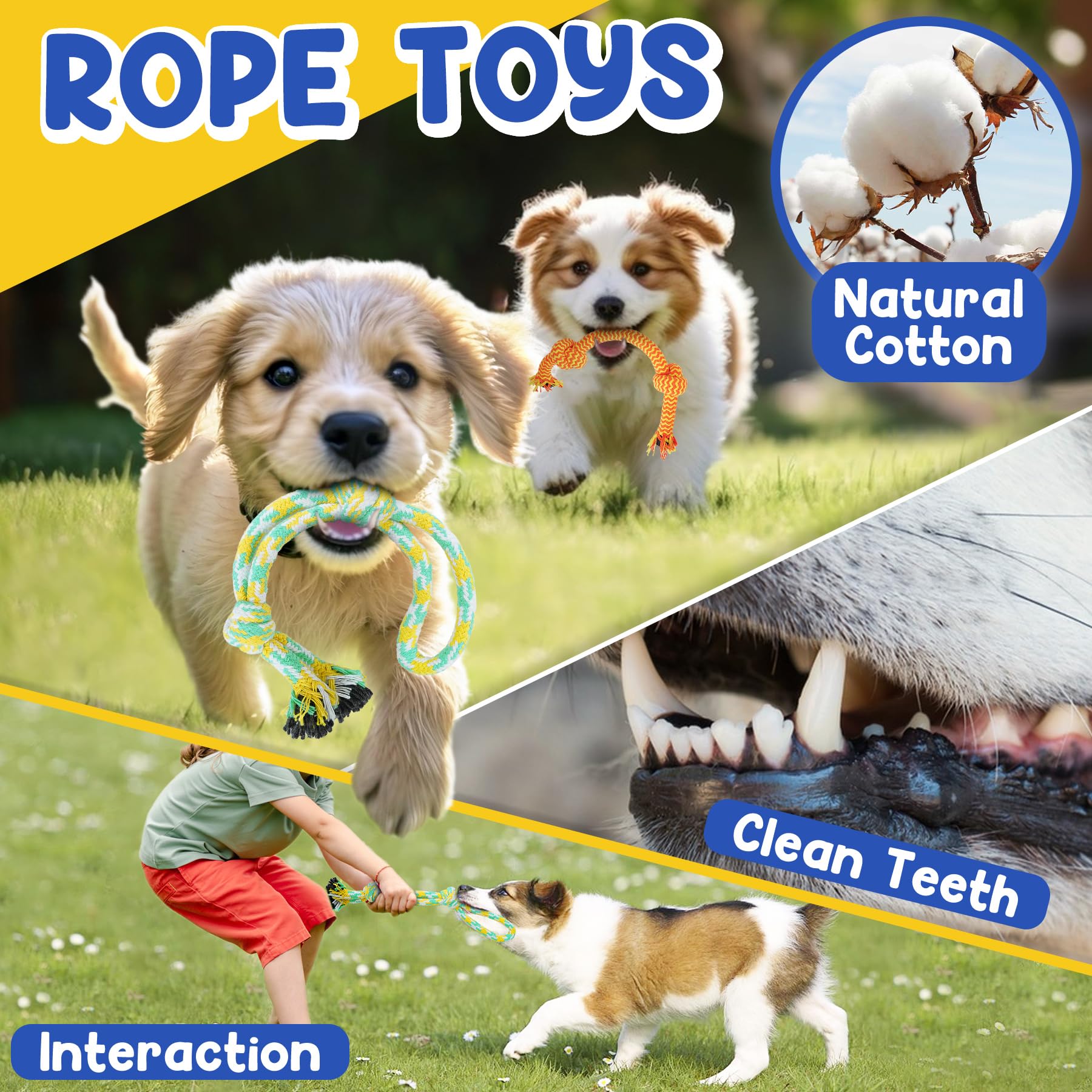 9 Pack Puppy Teething Toys for Small Dogs - Interactive Chew Toys with Rope, Treat Ball & Squeaky Toys for Boredom Relief | Perfect for Puppy Training, Playtime & Dental Health