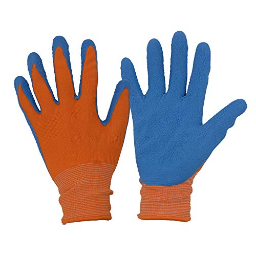 3 Pairs Orange