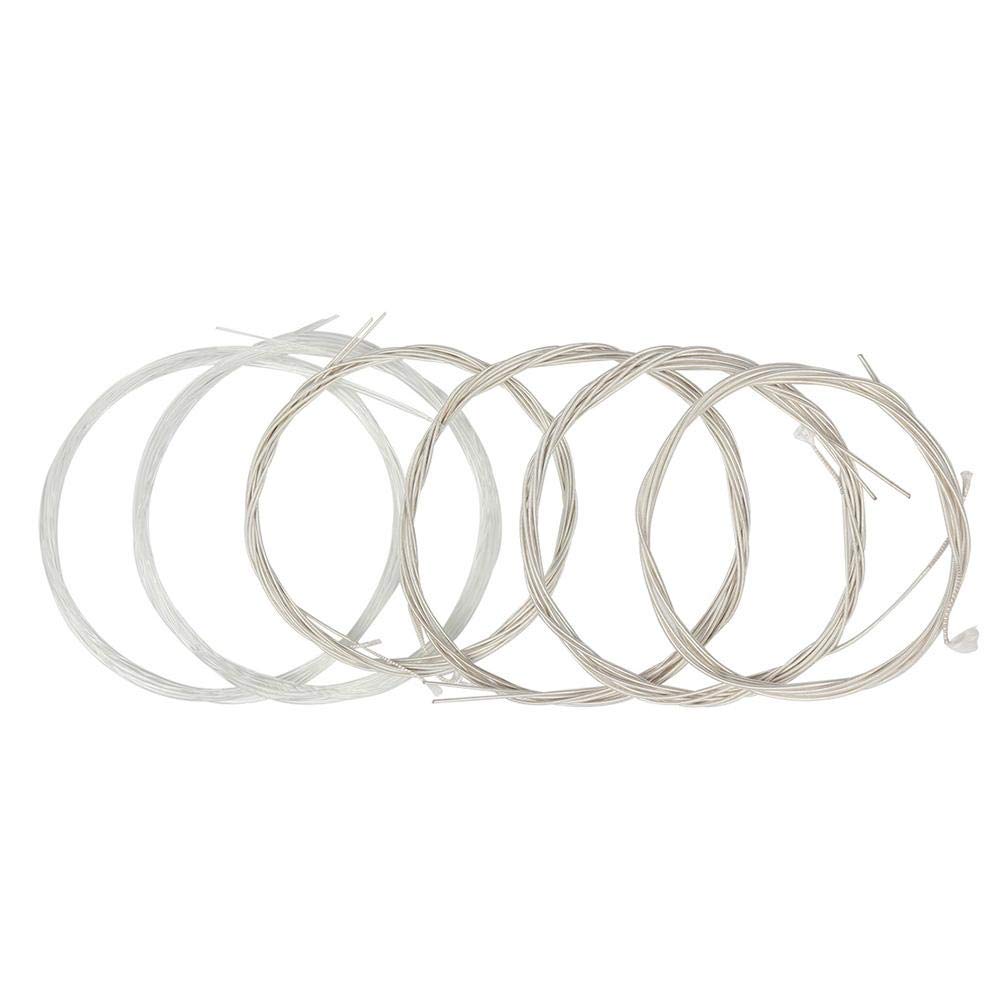 Premium Silver-Plated Nylon Copper Alloy Oud Strings Set - 11 Strings Replacement for Oud Instrument - Perfect for Middle Eastern Music Performances & Practice Sessions