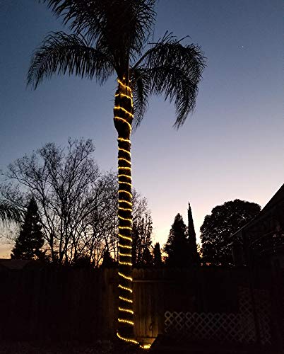 50ft 360 LED Waterproof Rope Lights - Connectable 110V Indoor/Outdoor String Lights for Deck, Patio, Pool, Backyard, Camping, Bedroom & Christmas Decor - Warm White Lighting for Parties, Weddings & Landscape Design