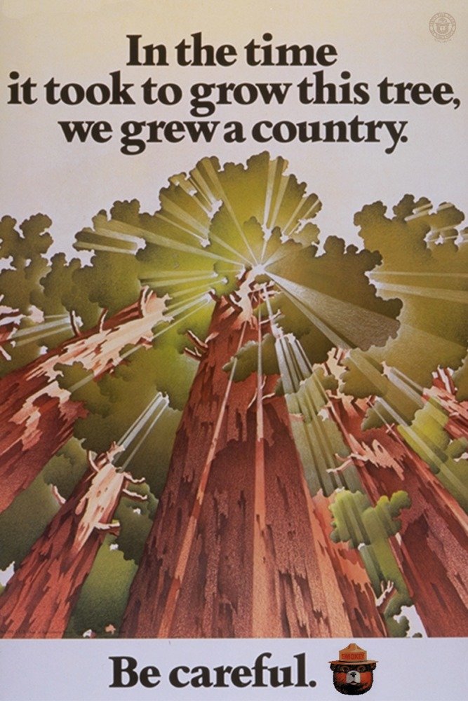 Smokey Bear Vintage Poster - Time It Took to Grow a Tree - 36x54 Giclee Gallery Print - Travel & Nature Wall Decor for Home, Office, or Cabin
