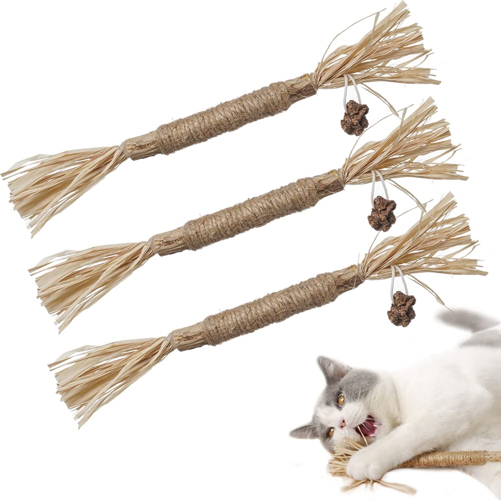 PAZ'S GIFT Natural Silvervine Catnip Sticks & Cat Kick Toys - 3-Pack Dental Chew Toys for Kittens, Interactive Indoor Cat Toys with Catnip to Clean Teeth, Reduce Obesity & Loneliness | Perfect for Playtime, Teething Relief & Bonding with Your Feline Friend