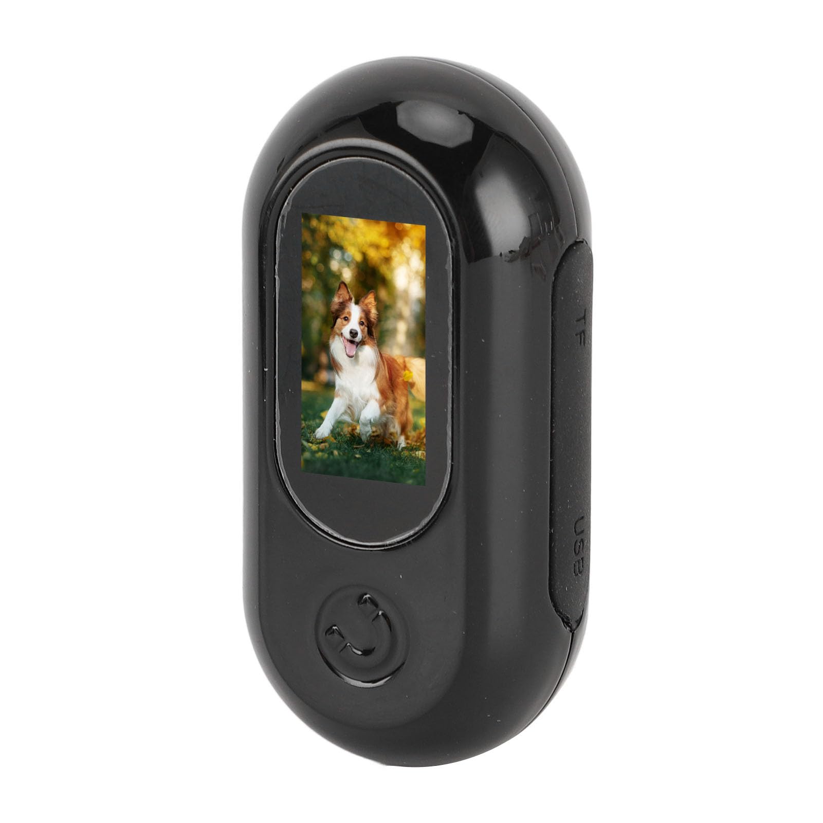 1080P HD Cat Camera Collar - Waterproof Pet Collar Camera with Anti-Shake, First Person View for Dogs & Cats - Ideal for Indoor/Outdoor Adventures, Hiking & Training (Black)