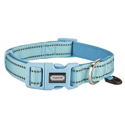 Collar-Sky Blue