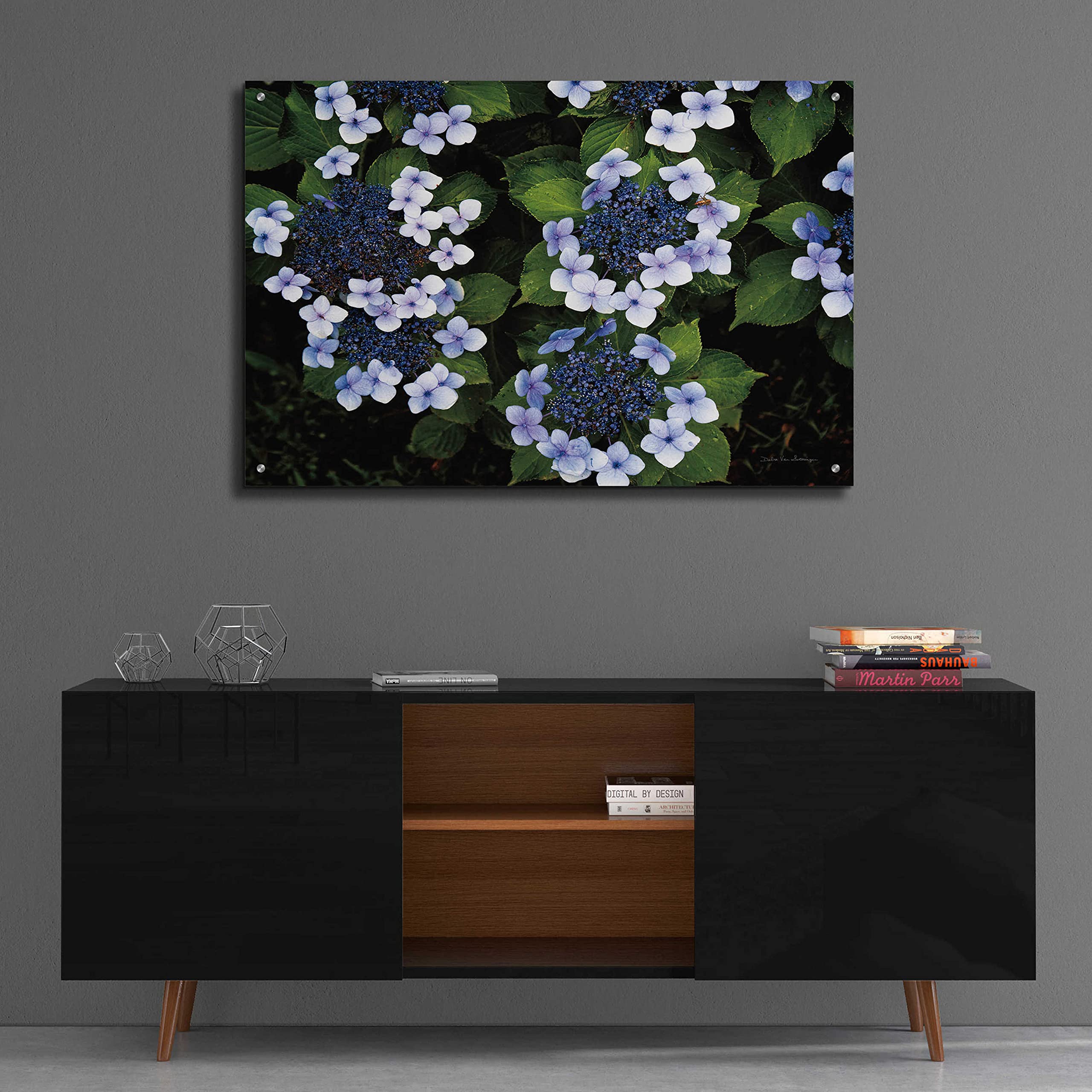 Debra Van Swearingen 'Hydrangeas Opening' Acrylic Glass Wall Art - 36x24 Inches Floral Painting for Living Room, Bedroom & Office Decor