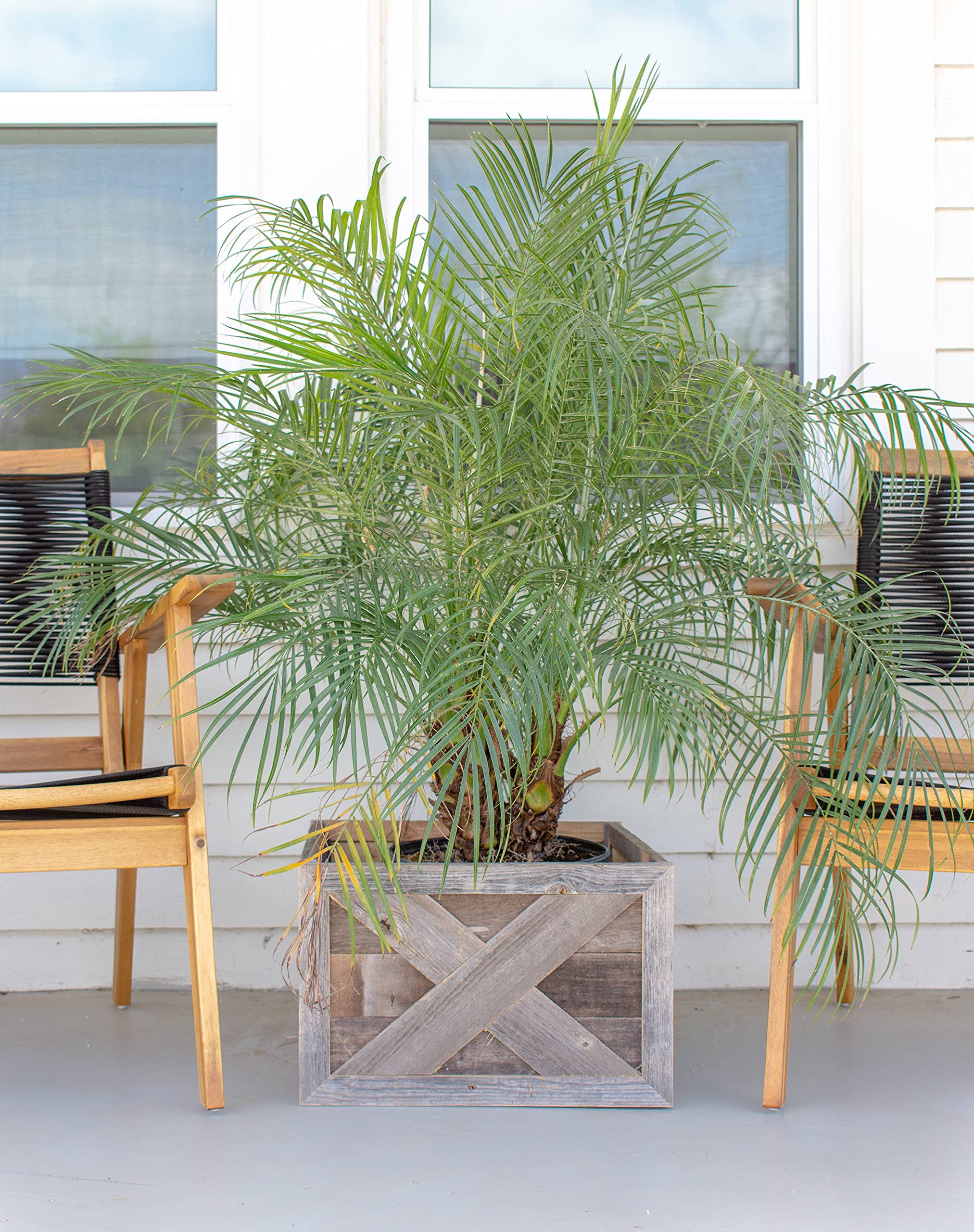 BarnwoodUSA Real Wood Plant & Tree Box Collar - Natural Weathered Gray Farmhouse Style Planter Cover - Fits Flower Pots & Tree Containers - Perfect for Indoor/Outdoor Home Decor, Garden & Patio