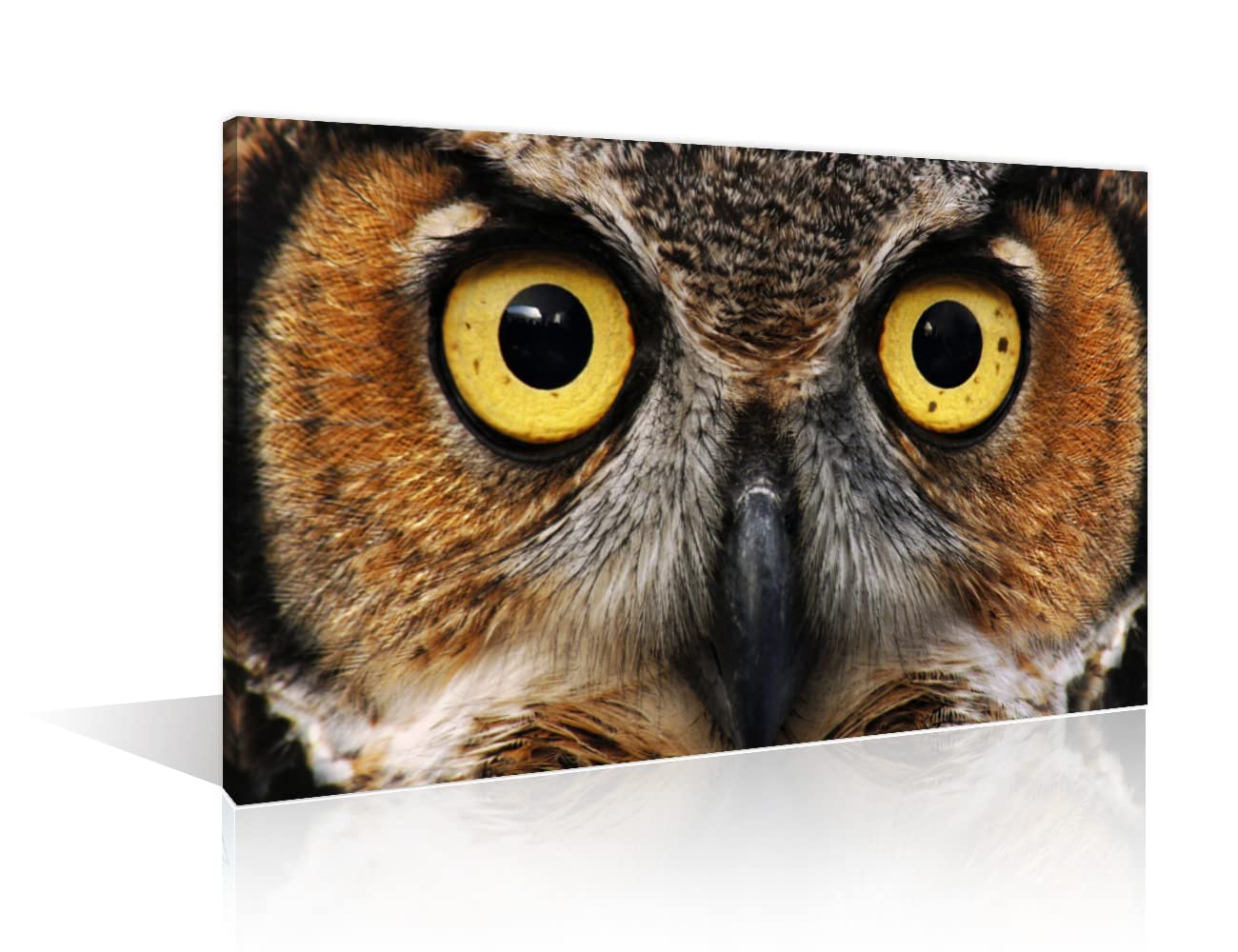 TUMOVO Wildlife Owl Wall Art - 36x24 Inch Framed Contemporary Painting, Modern Home Decor for Living Room, Bedroom & Office - Ready to Hang Stretched Canvas
