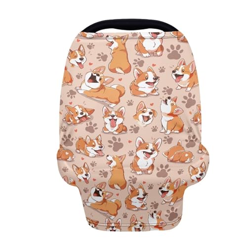 Corgi