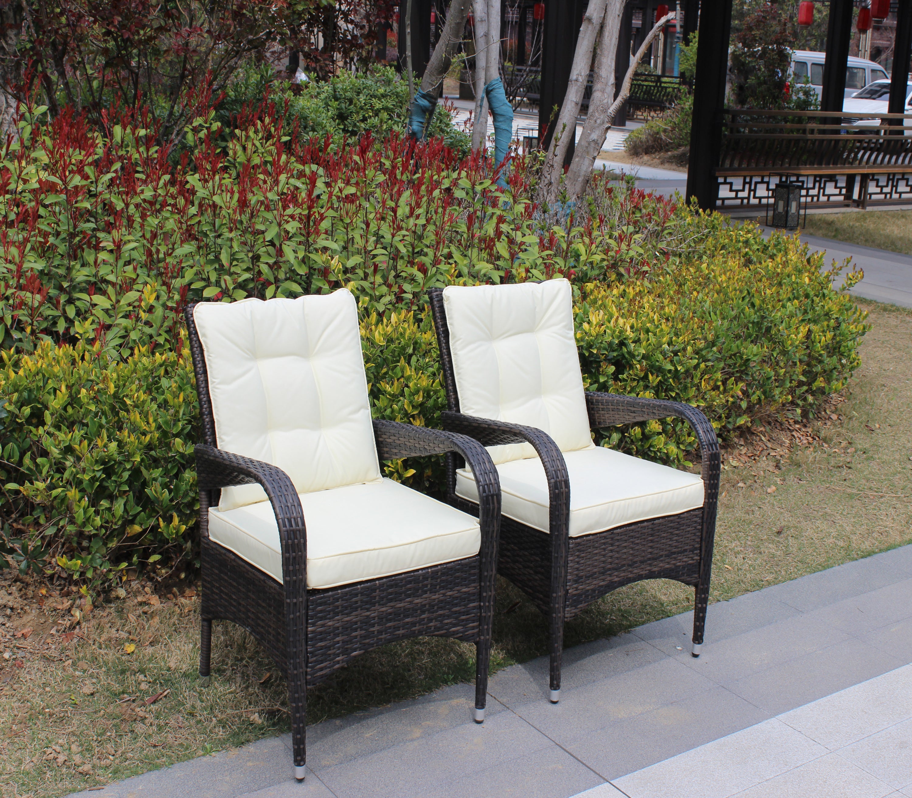 2 Piece Liberatore Dining Chairs with Beige Cushions - Modern Kitchen & Dining Room Furniture Set for Home Decor