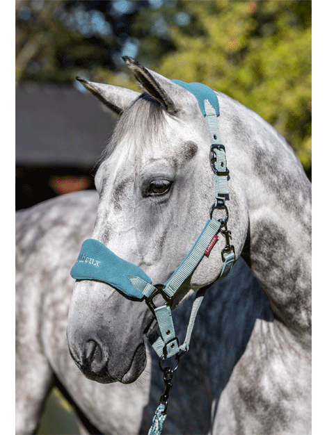 Le Mieux Vogue Fleece Headcollar and Lead Rope Set - Soft Horse Halter with Rope for Gentle Control - Perfect for Training, Grooming & Show Preparation