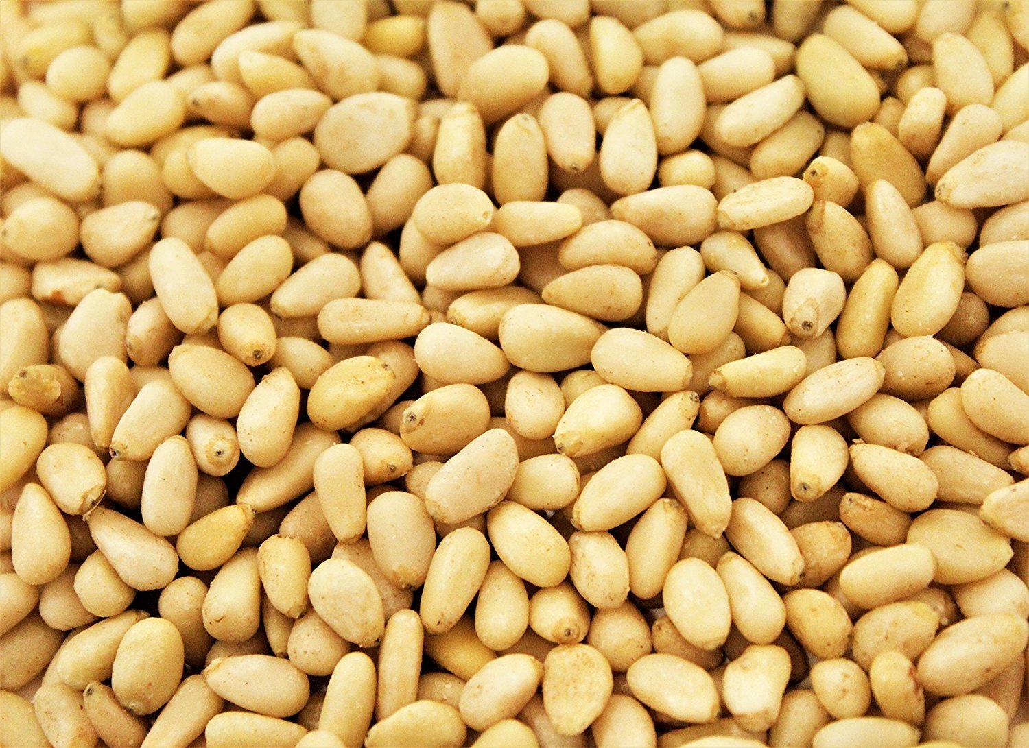 Premium Pine Nuts (Pignolias) - Raw, Shelled, Non-GMO - Perfect for Pesto, Salads & Baking - Healthy Snack & Cooking Ingredient