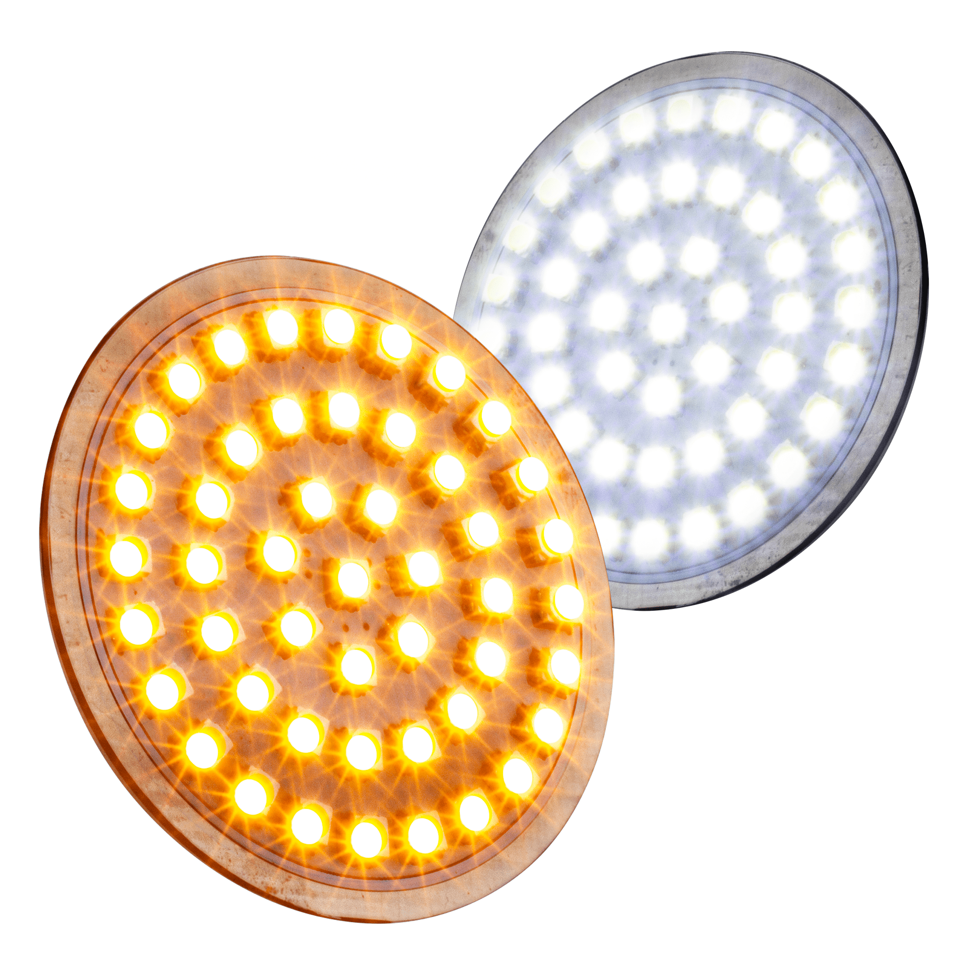 Eagle Lights LED Generation II Front & Halo Rear Turn Signal Kit for Harley Davidson Motorcycles - 1157 Base (Front & Rear) - Enhanced Visibility & Style for Night Riding & Custom Builds