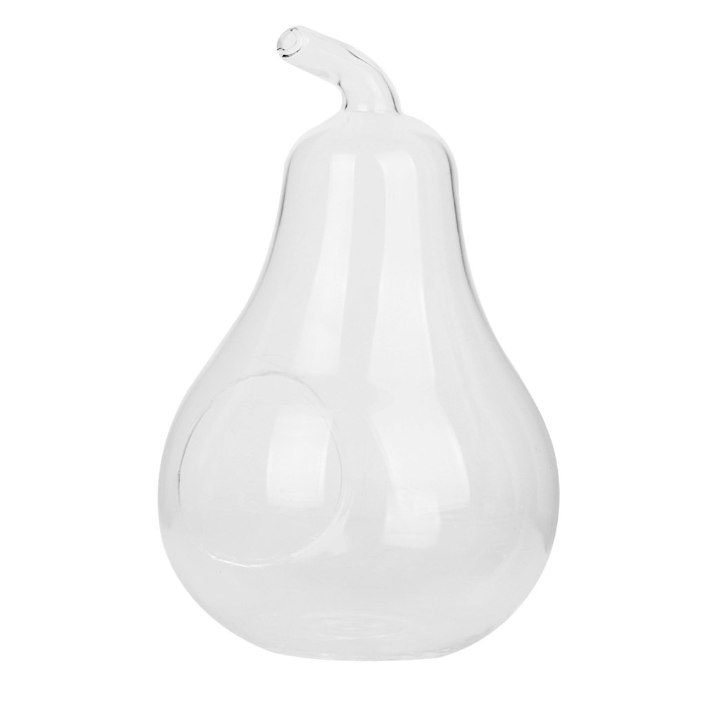 Pear Shaped Glass Hanging Vase - Elegant Plant Flower Decor for Home, Wedding, Garden & Office | Handmade Clear Glass Bottle for Air Plants, Succulents & Fresh Cut Flowers