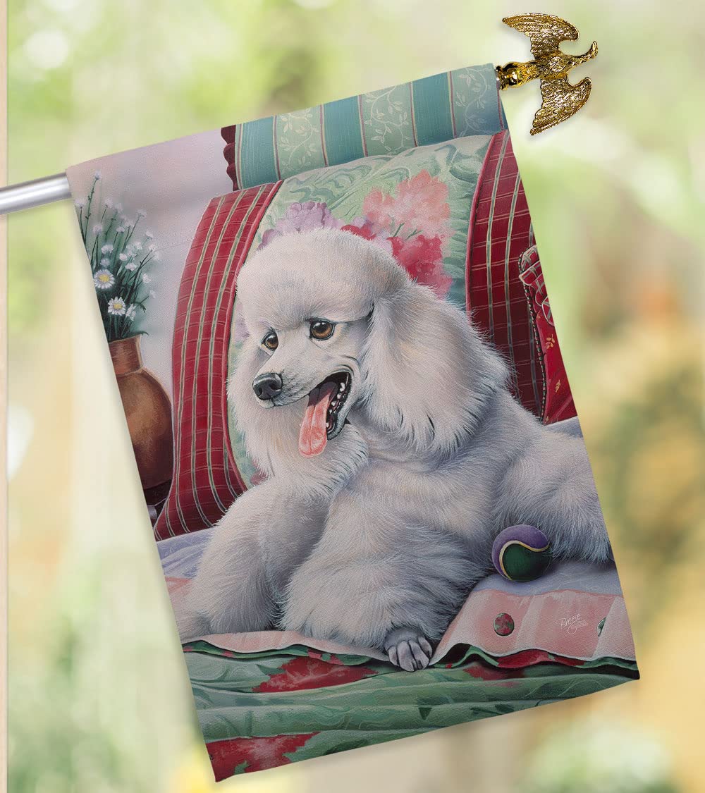 Poodle House Flag Set 28
