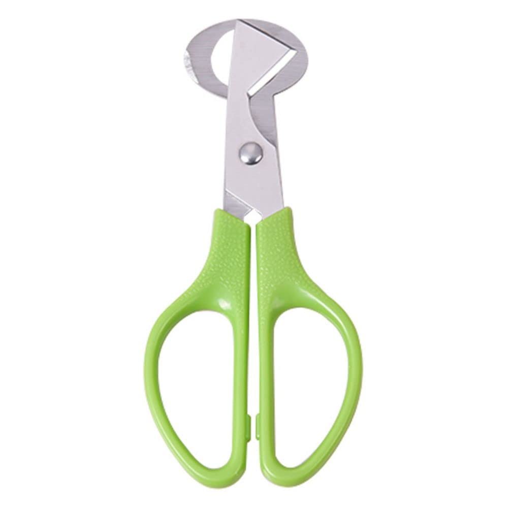 Premium Stainless Steel Quail Egg Scissors - Professional Bird Egg Cutter & Opener - Kitchen Shears for Quail, Chicken, Duck Eggs - Ergonomic Home Cooking Tool (Green) - Perfect for Breakfast Prep, Baking & Gourmet Cooking