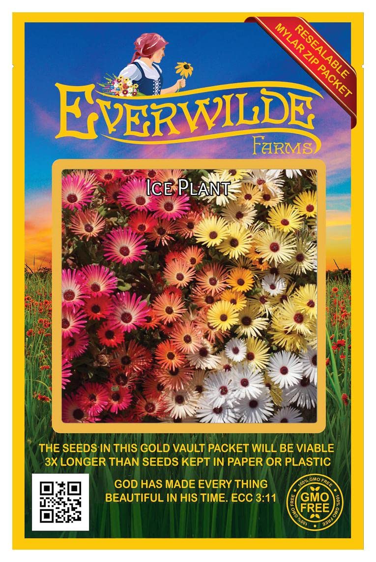 Everwilde Farms - 2000 Livingston Daisy Ice Plant Wildflower Seeds - Gold Vault Jumbo Seed Packet for Garden, Landscaping & Pollinator-Friendly Planting