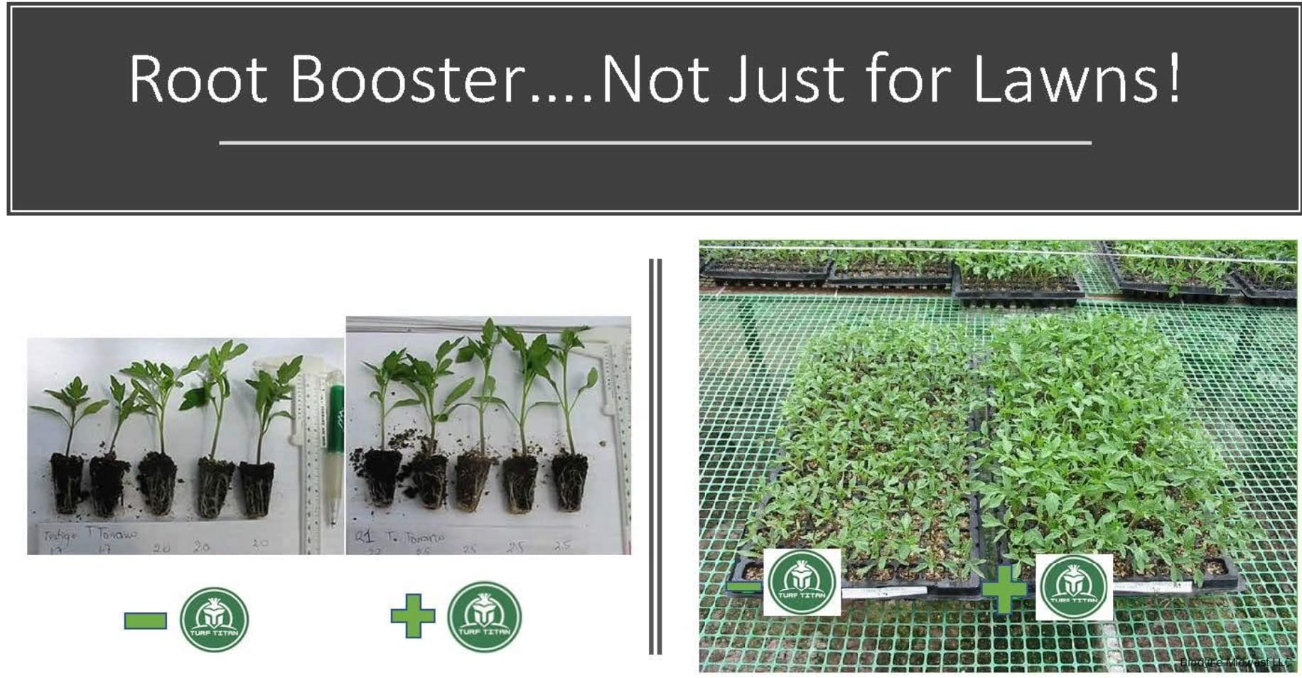 Organic Root Booster Concentrate for Lawn & Garden - Enhances Root Growth, Soil Conditioning & Plant Stimulation - Improves Nutrient Uptake & Water Drainage - Ideal for Trees, Shrubs, Flowers & Vegetables - 1 Gallon - Perfect for Home Gardening, Landscaping & Organic Farming