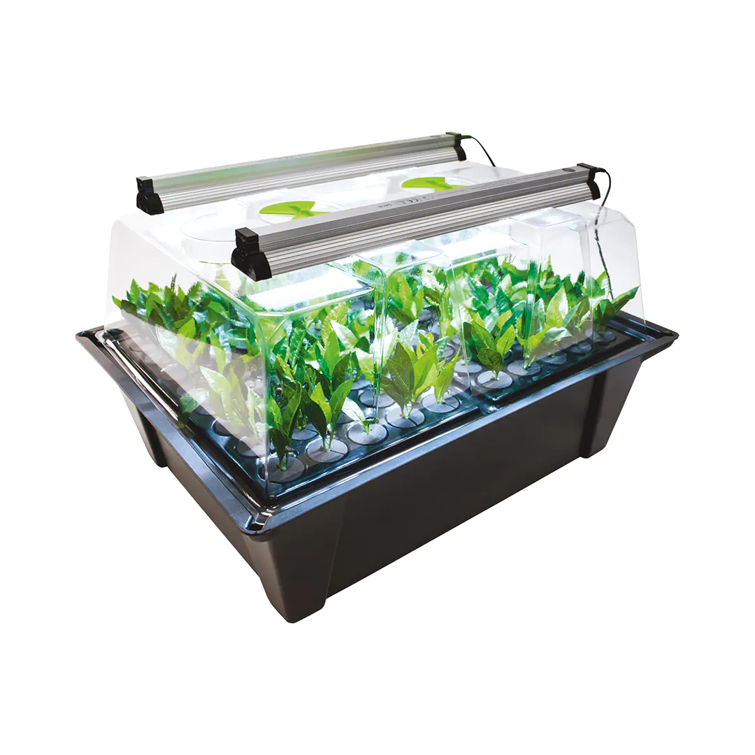 X Stream Aeroponic Propagator with Sunblaster LED Grow Light Kit - Hydroponic Cloning System for Indoor Plants, Herbs, and Seedlings - Perfect for Home Gardening and Greenhouse Use