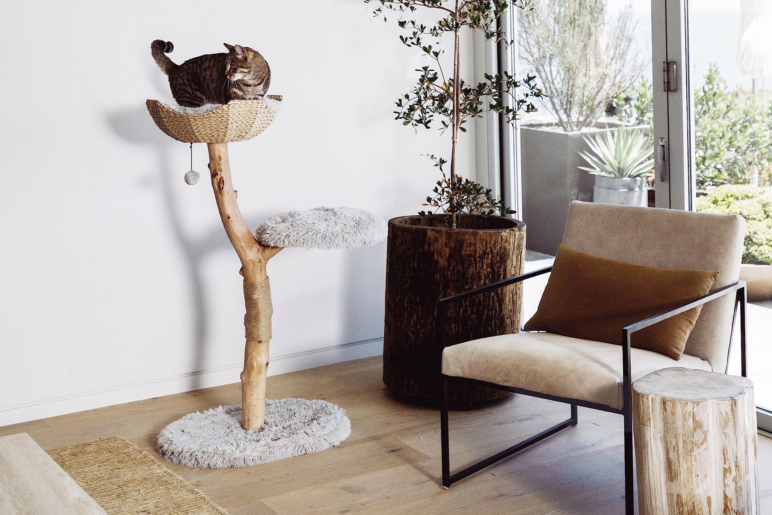 Modern Wooden Cat Tree Tower with Single Branch Condo - Natural Wood Cat Climbing Furniture for Indoor Cats - Perfect Cat Lover Gift for Home & Office - MAU LIFESTYLE (Bullet Gray) - Great for Play, Exercise & Relaxation