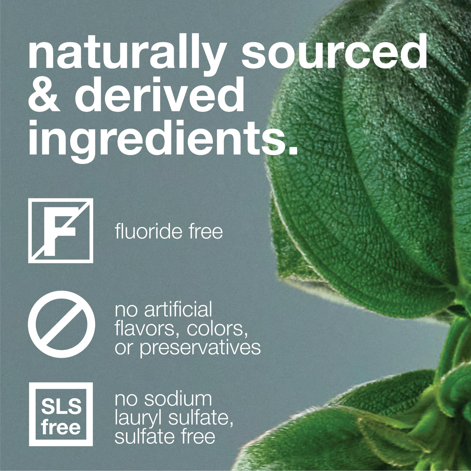 **Davids Fluoride-Free Natural Toothpaste for Kids & Adults - Teeth Whitening, Antiplaque, SLS-Free, Enamel Protection, Gum Detox - Strawberry Watermelon Flavor (5.25oz) - Ideal for Daily Oral Care & Fresh Breath**